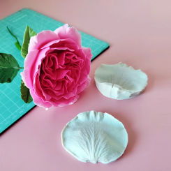 2pcs set Rose Austin Petal Veiner and Leaf Silicone Mold Fondant Tools Porcelain Clay Flower Cutting tools