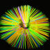 Slide image e32f11d7c3744aa3949f08258062911f