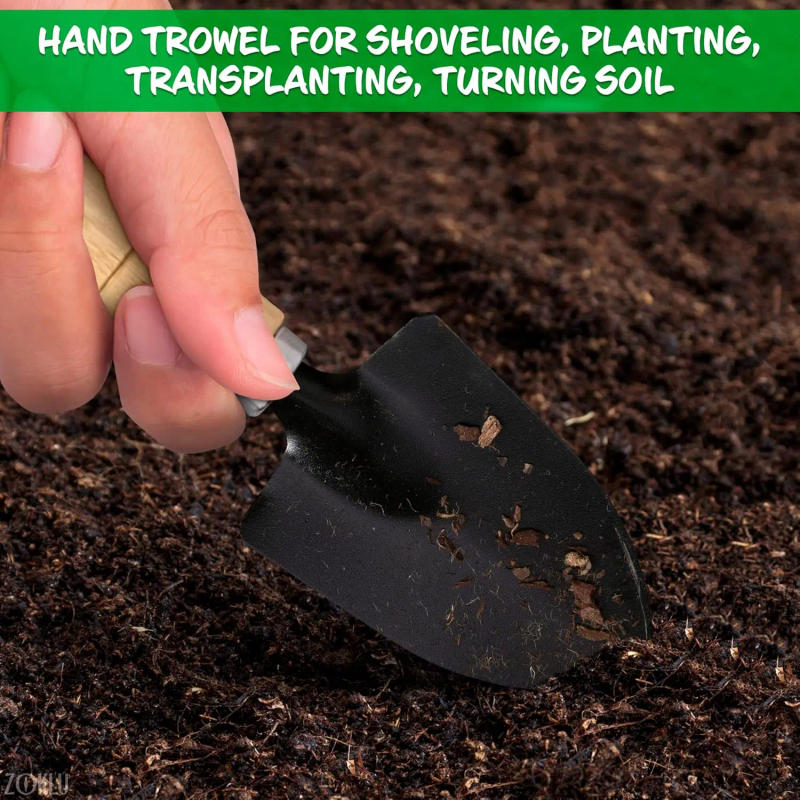 Description Picture 4 of item3Pcs Set Gardening Trowel Garden Rake Ergonomic Hand Tools Planting Vegetables Flowers Succulent Small Shovel Potting Supplies