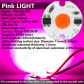 Pink AC220V