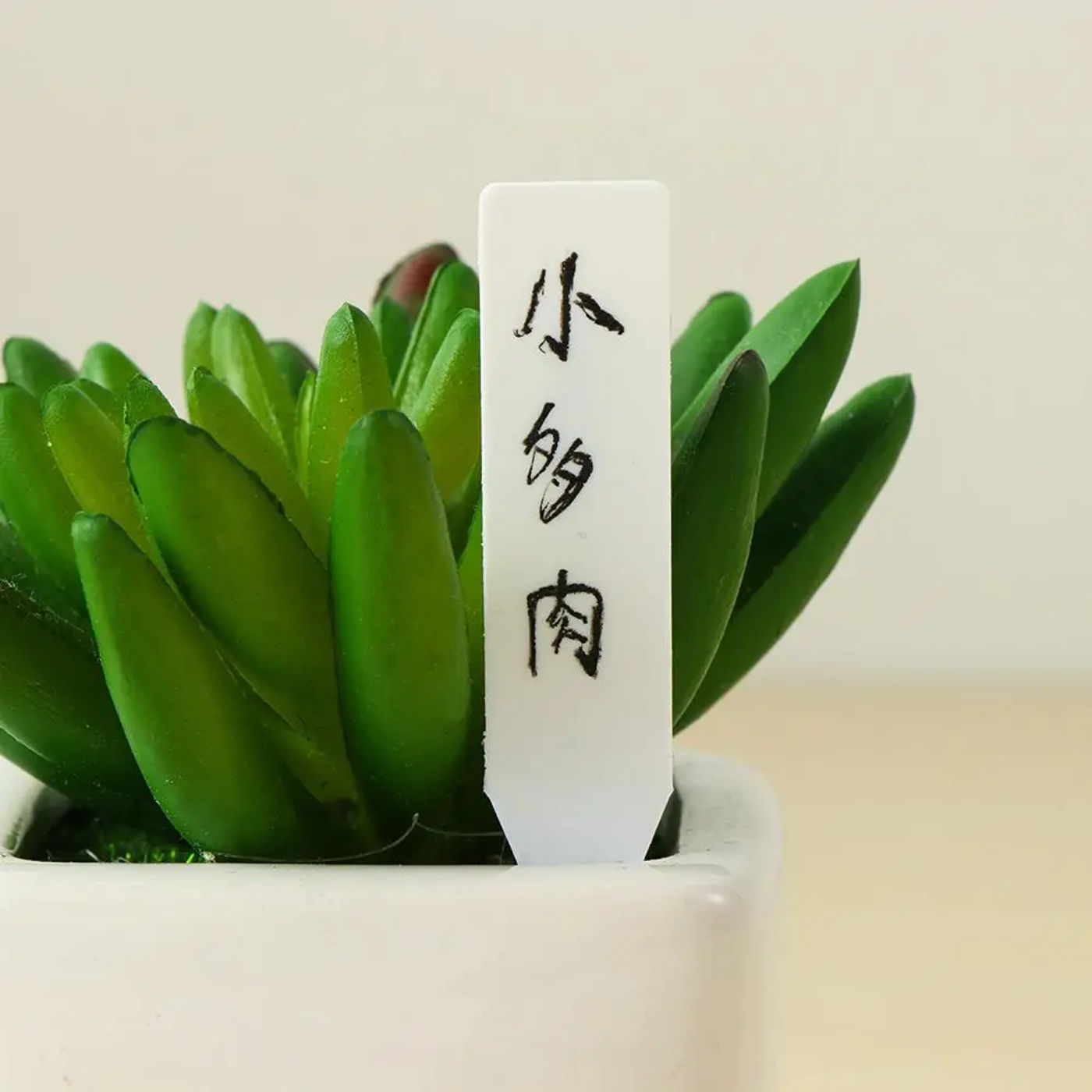 Description Picture 4 of item100Pcs Mini Plastic Plant Seed Label Pot Marker Nursery Garden Stake Tags Tool