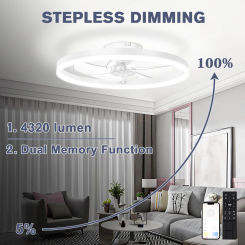 Low Profile Ceiling Fans with Lights and Remote, 19.7in Fandelier Ceiling Fan Flush Mount, Modern Ceilings Fans