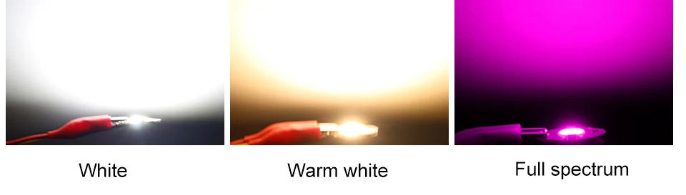 Description Picture 2 of itemPwwQmm AC110V 220V LED Chip 20W 30W 50W COB Chip No Need Driver LED Lamp Beads for Flood Light Spotlight Lampada DIY Lighting