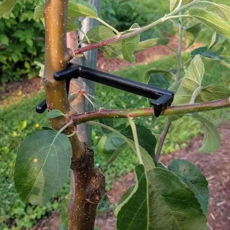Description Picture 6 of item10-30Pcs Fruit Tree Clips Plant Vines Support Twisting Shapers Branches Puller Twist Styling Bonsai Curved Elbow Garden Tools