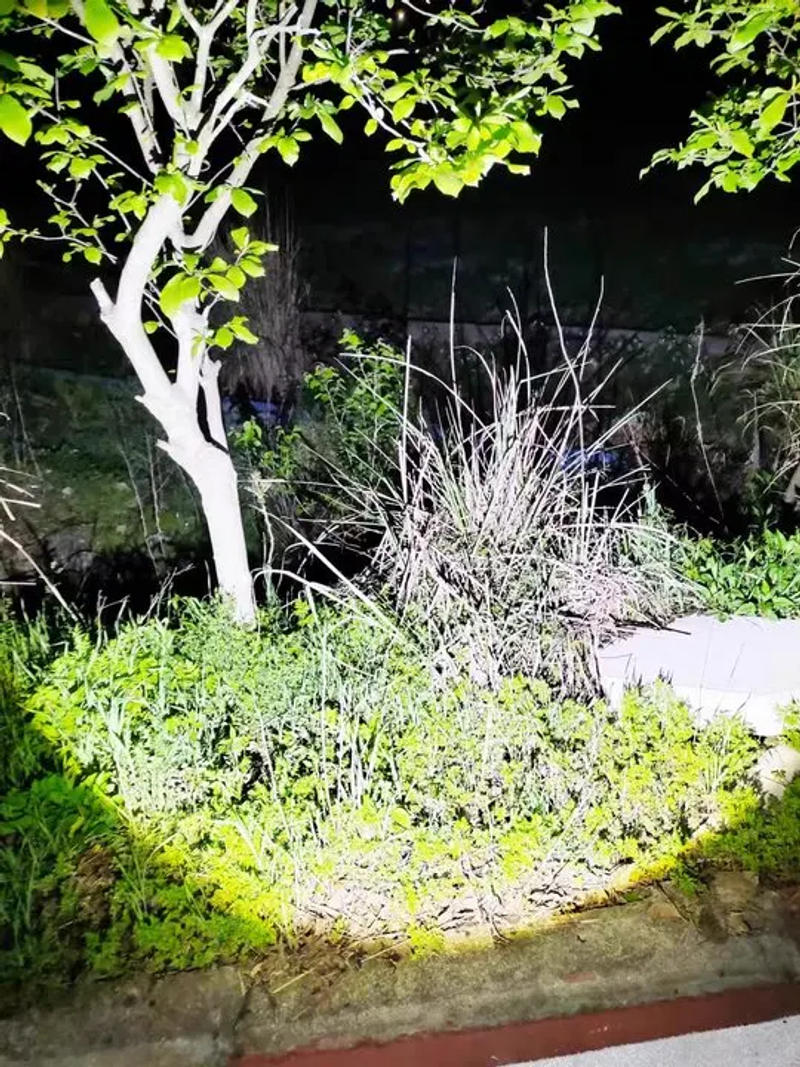 Description Picture 2 of itemHigh Power LED Flashlight Tactical Emergency Spotlight Telescopic Zoom Rechargeable Camping Flashlight Tactical Torch Lantern