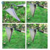 Slide image 161fc21e09d64d51a61055f47cdf95e6