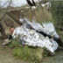 Slide image 8e357db0d45f44c8bd9d1d3790d3808d