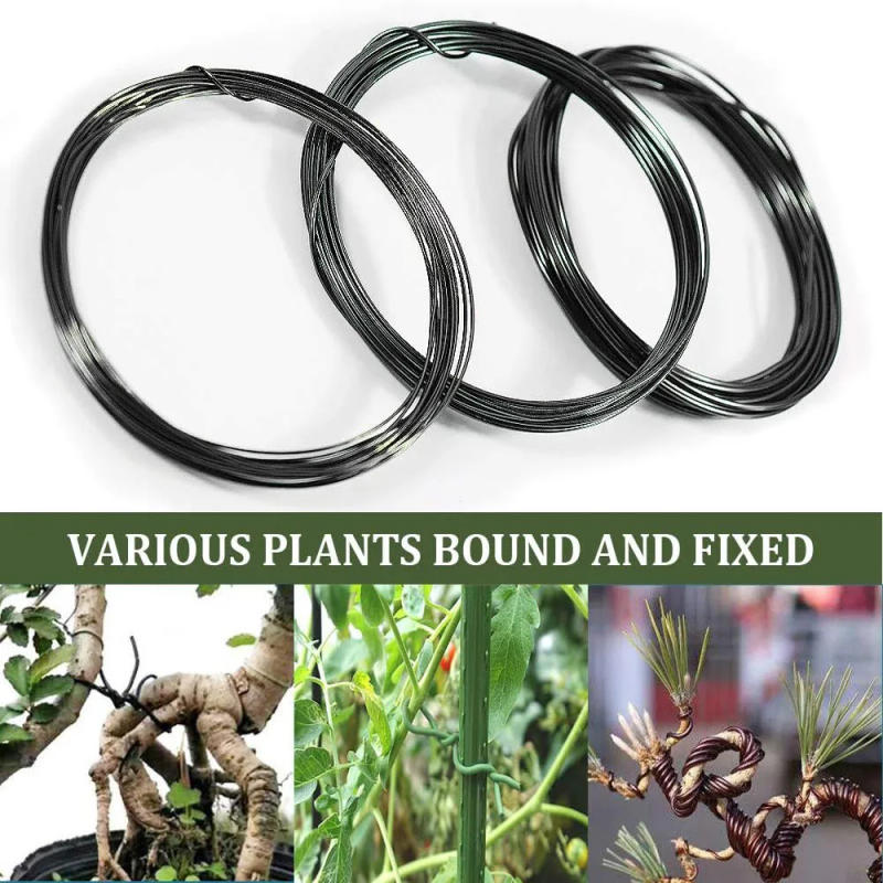 Description Picture 6 of item5m/10m Bonsai Wire Plant Support Anodized Aluminum Bonsai Training Wire For Plant Shapes Garden Accessories