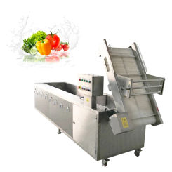 Conveyor Belt Washer Cleaner Ultrasonic Kitchen Appliance Ozone Bubble Vegetable Washing Machine Fruit Washer