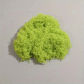 Fluorescent Green