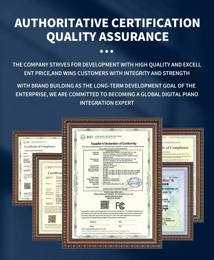 Description Picture 5 of itemBLANTH Drawer Piano Keyboard Electronic Piano Digital Piano Electric Musical Instruments