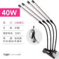 40W