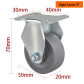 2 Rigid Caster