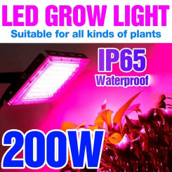 Phytolamp For Plants Lamp Full Spectrum Led Grow Light 50W 100W 200W 300W Cultivation Spotlights Grow Accessories Indoor Uv Lamp