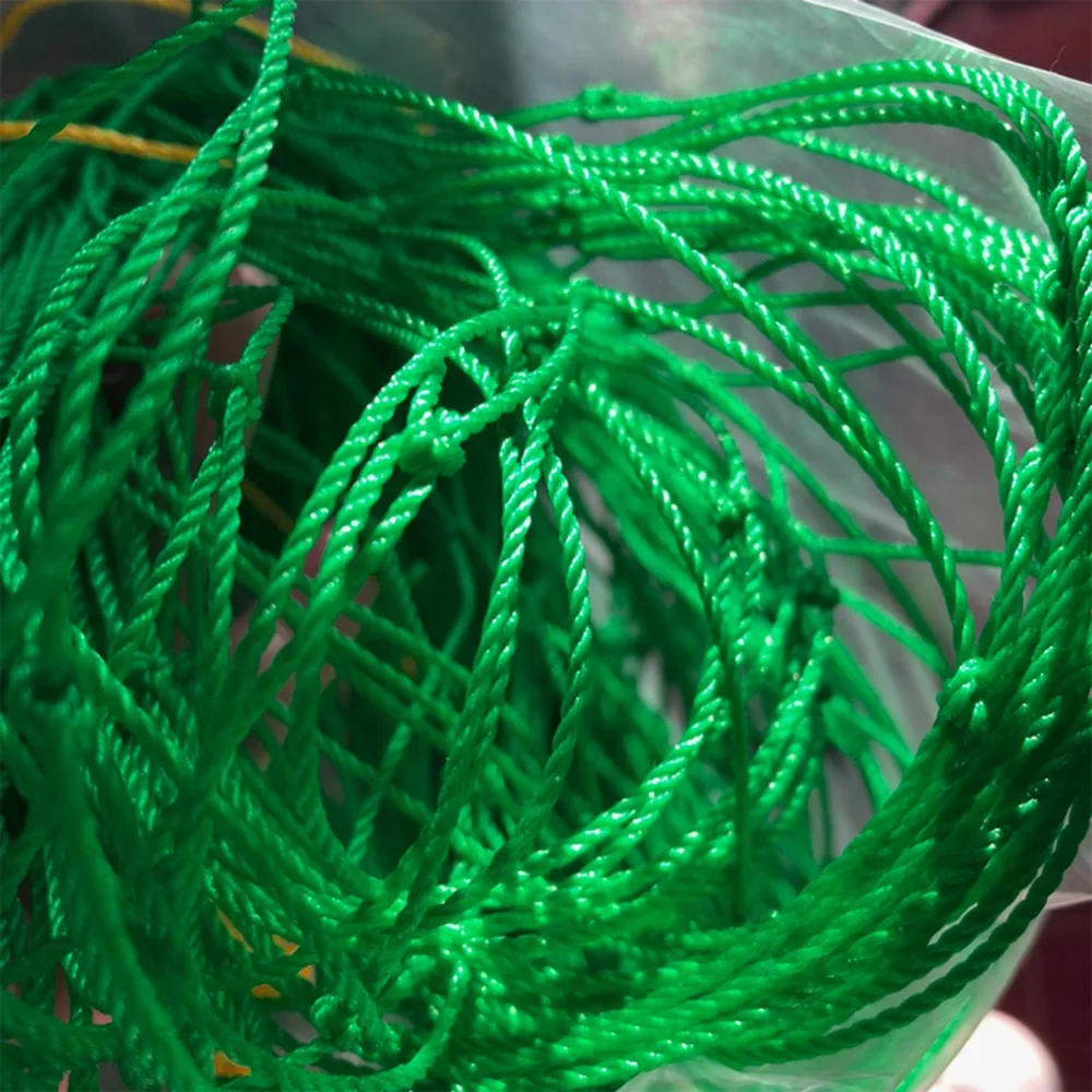 Description Picture 2 of item2022 Hi-quality Nylon Garden Netting Loofah Morning Glory Flowers Vine Plants Climbing Net Cucumber Vine Grow Holder Brackets