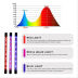 Slide image a2140f1884d94de486bd539313559289