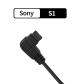 Sony s1