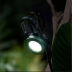 Slide image 4e898dd881ee4c4091830c201eab1abc