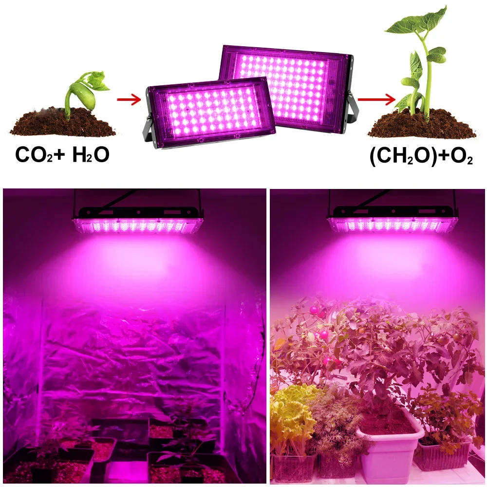 Description Picture 4 of itemLED Grow Light Phyto Lamp AC 220V 50W LED Full Spectrum Floodlight Indoor Outdoor Greenhouse Plant Hydroponic Plant Spotlight