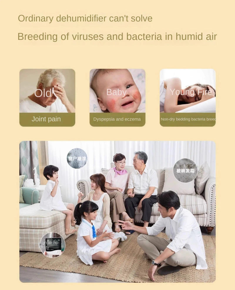 Description Picture 4 of item100-240V Dehumidifier household silent dehumidifier indoor small dehumidifier