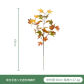 SJ-SFY-SS-A07411