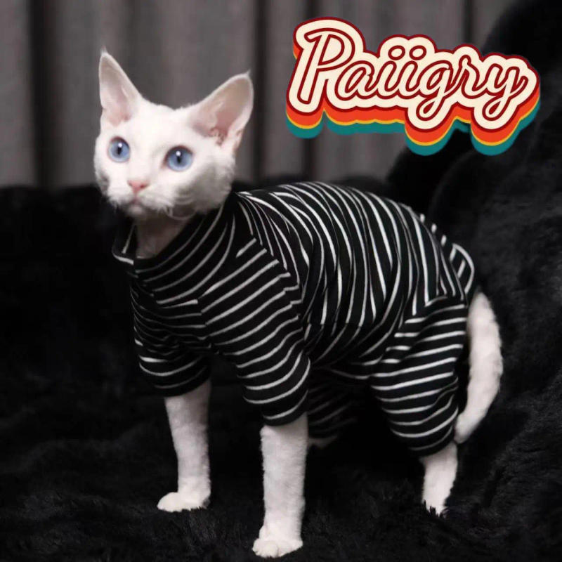Description Picture 5 of itemHairless cat clothes tricolor four-legged clothes Sphinx warm high stretch home four-legged clothes pet clothing