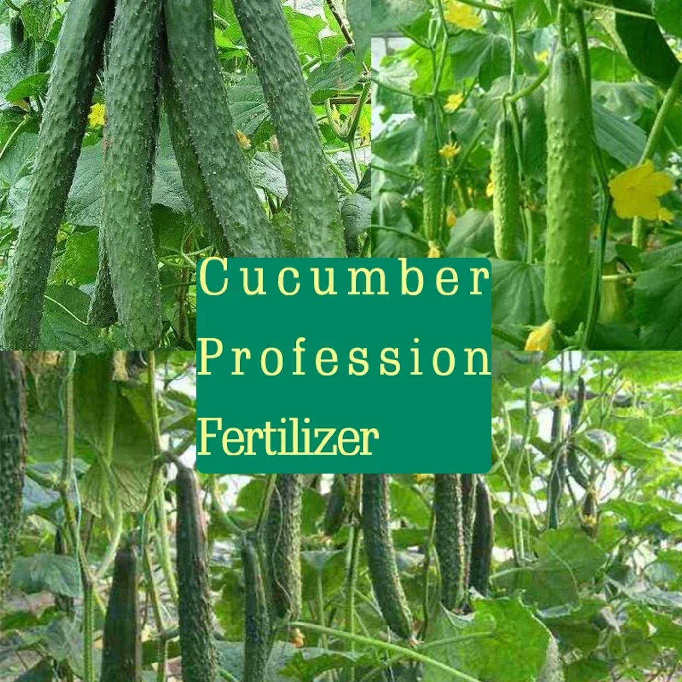 Slide fee73cedc9284207b1dc529973859758