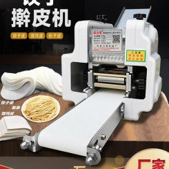 110V/220V 2 in 1 Electric Noodle & Pasta Maker with Stainless Steel Mold for Home and Commercial Use