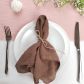 brown 10pcs