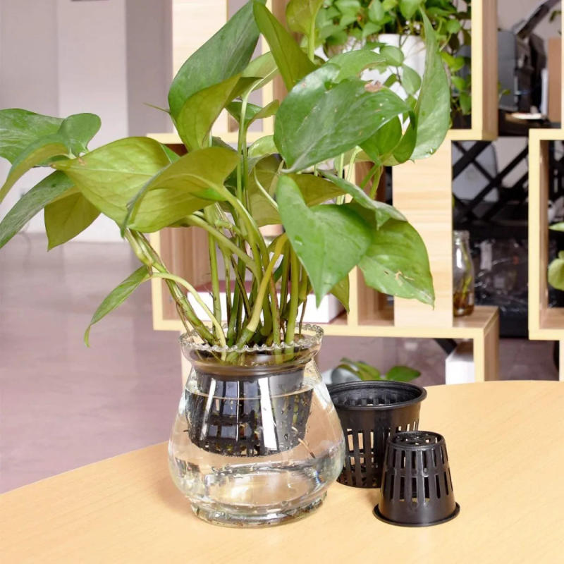 Description Picture 6 of item25PCS Hydroponic Pot Net Cup Hydroponic Soilless Mesh Net Basket Plant Veg Grow Nursery Cup Pot Garden Plant Basket