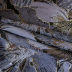 Slide image 178a8e1d7878441baa3f6713d129000f