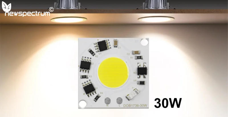 Description Picture 2 of itemDriverless DOB 220V LED Module 30W COB Chip Lamp Bead Light Full Power Cold Warm White For Outdoor LED Bulb Downlight Spotlight