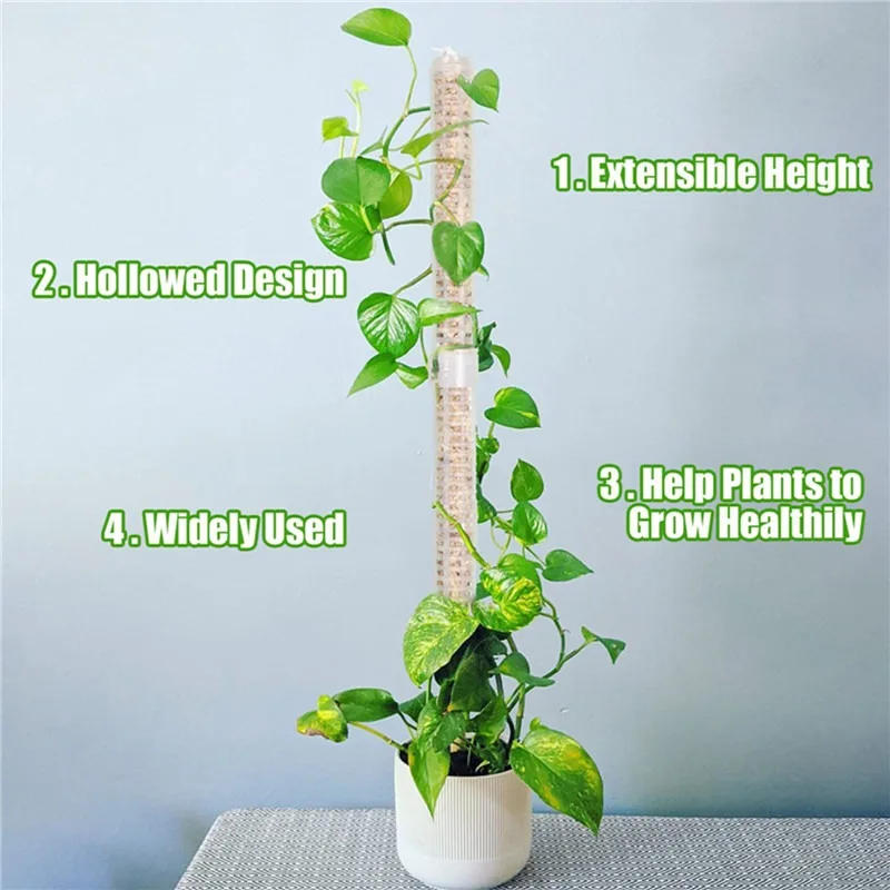 Description Picture 5 of itemPlant Climbing Frame Plant Trellis Supporting Stick Plastic Moss Pole Indoor Plant Pot stand Green Dill Vine Garden Accessories