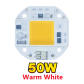 Warm White 50w