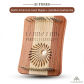 31 String Type B