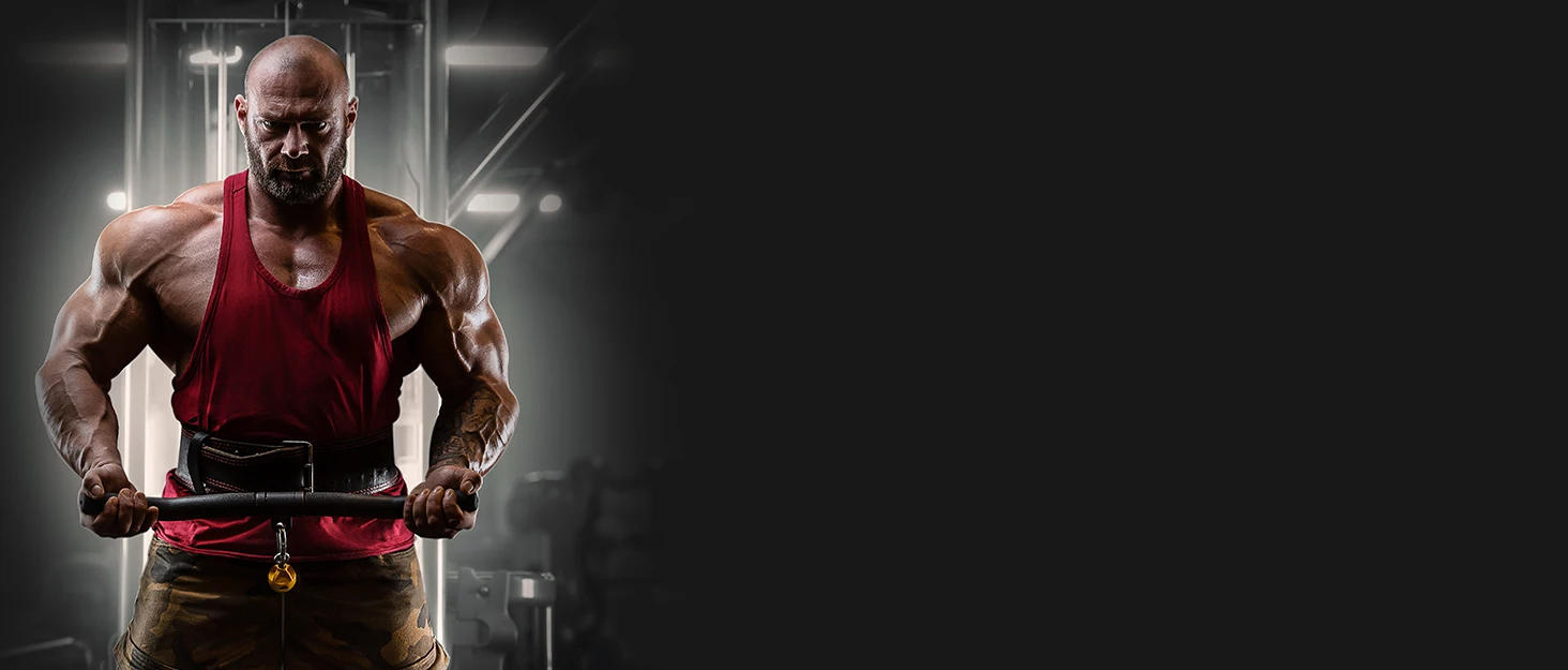 Description Picture 2 of itemWeight Bench for Full Body Workout, Foldable Workout Bench for Home Gym, Multi-Purpose Weight Bench with 3-Sec Foldin