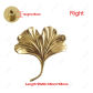 Ginkgo Leaf3-Right