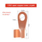 100A Copper Terminal