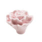Pink-C