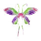 Butterfly K