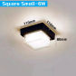 Square Small