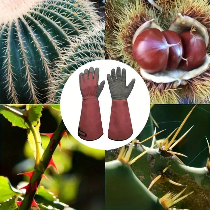 Description Picture 4 of itemLong Style Gardening Gloves Thorn Proof Gloves Canvas Rose Pruning Garden Gloves with Touch Screen Breathable Work Gloves