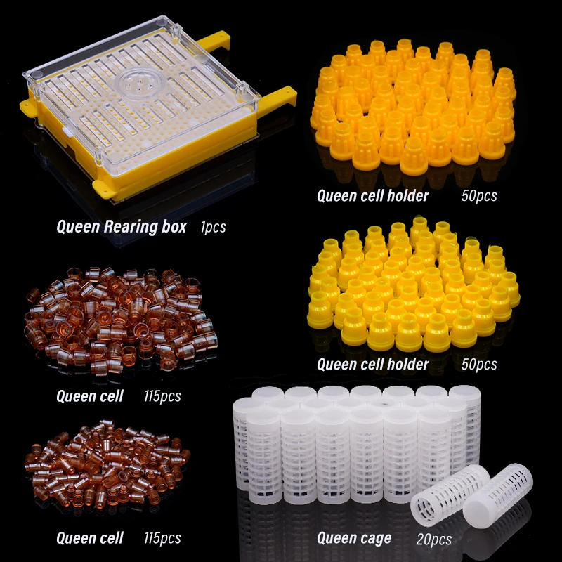 Description Picture 3 of itemQueen Bee Rearing Kit Nicot Germany Jenter Bee Queen Rearing System Queen Bee Cell Cups Larva Move Cage For Beekeeper Supplies