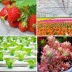Slide image 7f93f3f332c8421da5ac92a63a52f39e