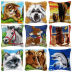 Slide image ed7f4110aad04cd9a63da3bc2ad451d5