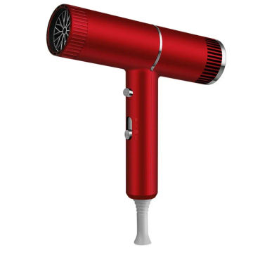 Negative Ion Electric Hair Dryer Hot and Cold Air T Shaped Hair Blower Dryer Fast Drying Portable Ionic Blow Dryer