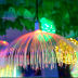 Slide image eaa1e132eee441008a14733b13903b43