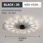 black 30 lights