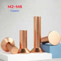 GB869 Copper Countersunk Flat Head Solid Rivets Self Plugging M2 M2.5 M3 M4 M5 M6 M8 Length 3mm~50mm