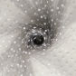 Grey(white spot)